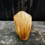 Primitive Bamboo Shot Glass