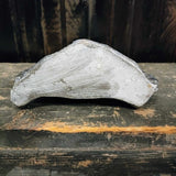 Primitive Reproduction Bear Mold