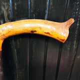 Vintage Walking Stick