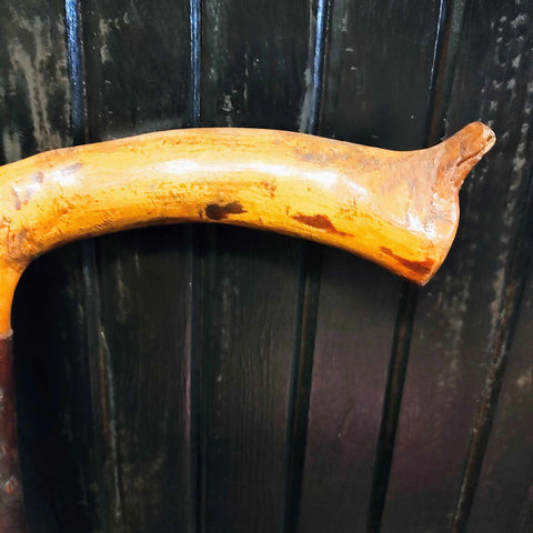 Vintage Walking Stick