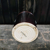 Vintage Canning Canister