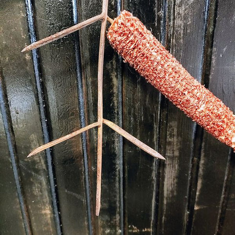 Antique Corn Dryer 3 Corns