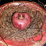 Primitive Red Resin Bowl