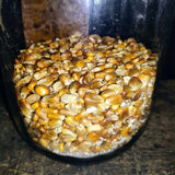 Primitive Glass Jar Seed Holder