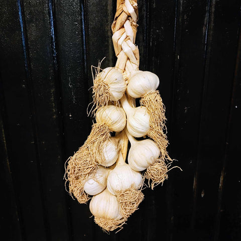 Large Garlic Braid