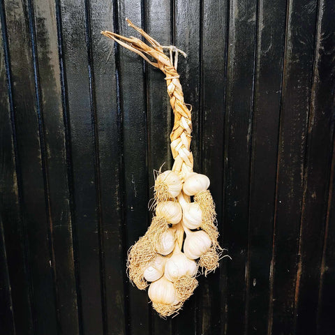 Large Garlic Braid