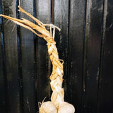 Large Garlic Braid