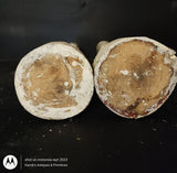 Antique Handmade Wooden Candle Holders