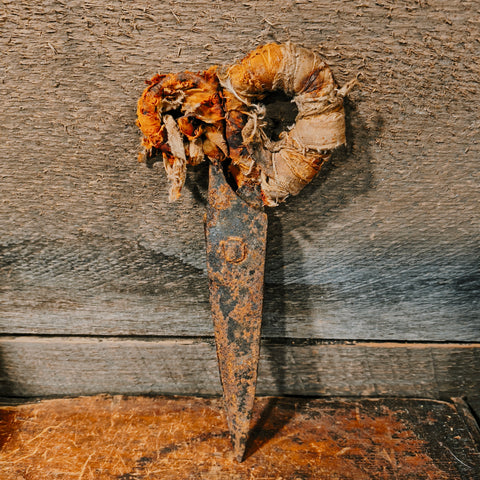 Antique Hand-forged Iron Sheep Shears