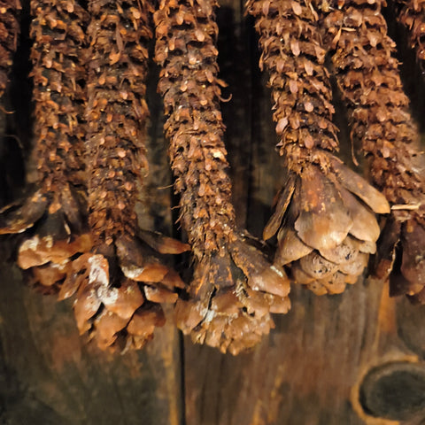 Primitive Pinecone Swag 20"