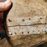 Antique Wooden Bowl Scale