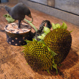 Primitive Dried Sunflowers