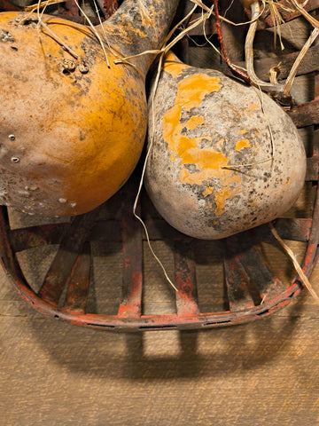 Primitive Tobacco Basket w/ Two Gourds.