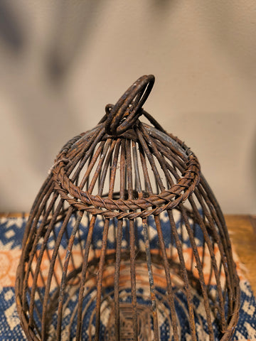 Antique Wired Bird Cage
