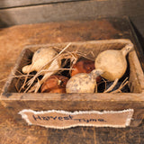 Primitive Wooden Box