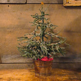 Primitive Twig Tree