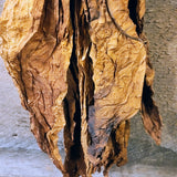 Antique primitive hanger with dried tobacco leaves