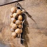 Primitive Gourd Hanging