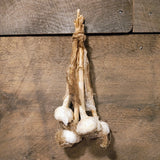 Primitive Dried Hanging Garlic