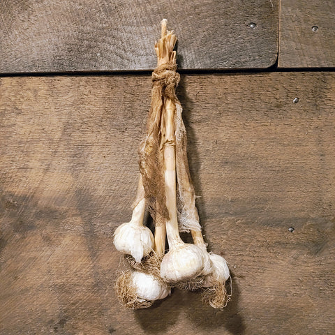 Primitive Dried Hanging Garlic
