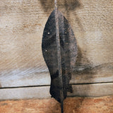 Antique 1700's Hand Wrought Iron Ice Skates.