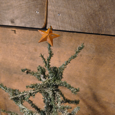 Primitive Twig Tree