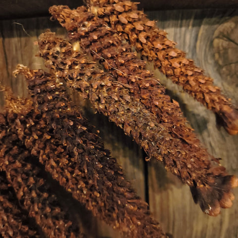 Primitive Pinecone Swag 20"