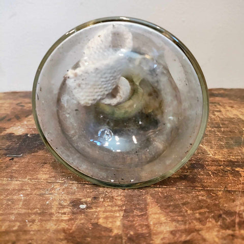 Vintage Clear Glass Kerosene Oil Lamp