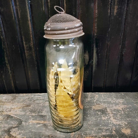 Vintage Apothecary Glass Jar With A Screen Dome Lid 1