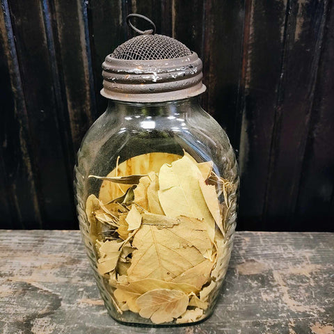 Vintage Apothecary Glass Jar With A Screen Dome Lid 1