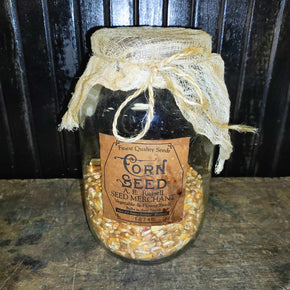 Primitive Glass Jar Seed Holder