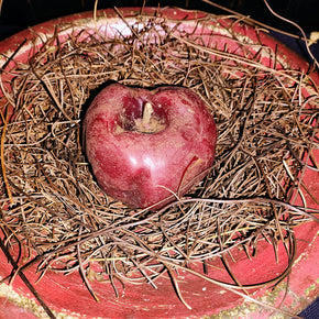 Primitive Red Resin Bowl