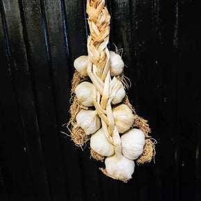 Large Garlic Braid