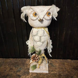 Primitive Owl.