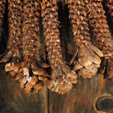 Primitive Pinecone Swag 20"