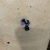 EDMANDS & CO, Boston, Massachusetts Stoneware Jar