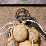Primitive Gourd Hanging