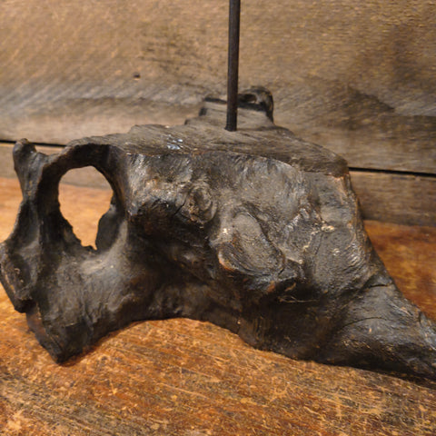 Antique Primitive Early Lighting