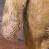 Antique Primitives Straw-Stuffed Mohair Teddy Bear