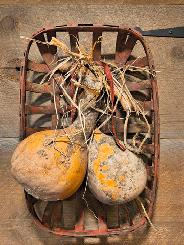 Primitive Tobacco Basket w/ Two Gourds.
