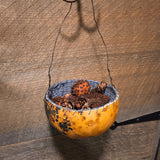 Primitive Lined Gourd w/ Dry Goods