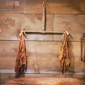 Antique primitive hanger with dried tobacco leaves