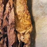 Antique primitive hanger with dried tobacco leaves