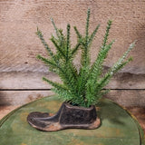 Antique Cobbler's Cast Iron Child Size