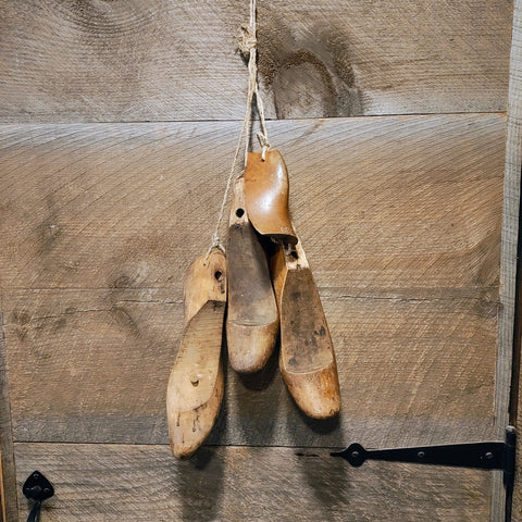 Wood Shoe Forms