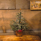 Primitive Twig Tree