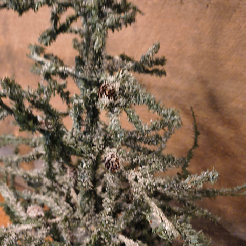 Primitive Twig Tree