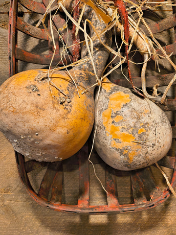 Primitive Tobacco Basket w/ Two Gourds.