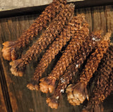 Primitive Pinecone Swag 20"