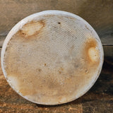 Norton Salt glaze Jug from Worcester Ma